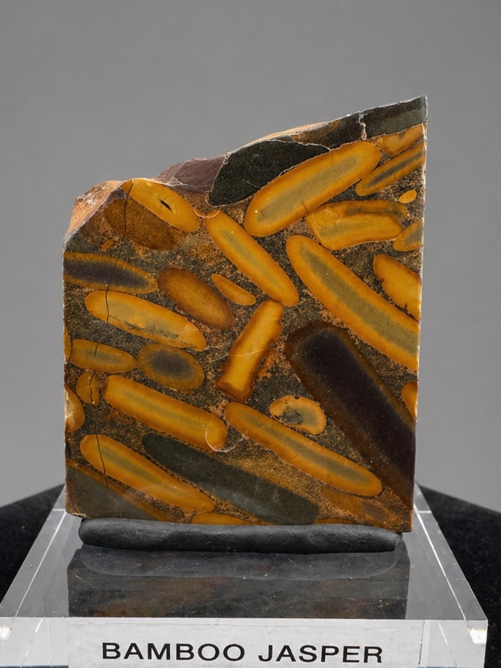 Bamboo Jasper Specimen polished  (Indonesia)